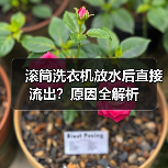 滚筒洗衣机放水后直接流出?原因全解析(图4) 滚筒洗衣机放水后直接流出?原因全解析(图4)