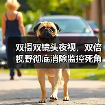 双摄双镜头夜视，双倍视野彻底消除监控死角(图1)