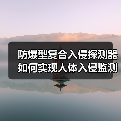 防爆型复合入侵探测器如何实现人体入侵监测精准度？(图2)