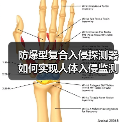 防爆型复合入侵探测器如何实现人体入侵监测精准度？(图1)