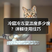 冷藏冷冻室温度多少度?详解使用技巧(图3) 冷藏冷冻室温度多少度?详解使用技巧(图3)