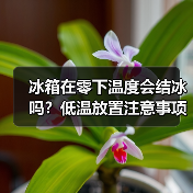 冰箱在零下温度会结冰吗?低温放置注意事项全解析(图4) 冰箱在零下温度会结冰吗?低温放置注意事项全解析(图4)