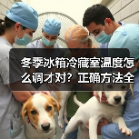 冬季冰箱冷藏室温度怎么调才对？正确方法全解析(图4)