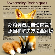 冰箱调温后自动恢复?原因和解决方法全解析(图4) 冰箱调温后自动恢复?原因和解决方法全解析(图4)