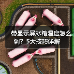 带显示屏冰箱温度怎么调?5大技巧详解(图1) 带显示屏冰箱温度怎么调?5大技巧详解(图1)