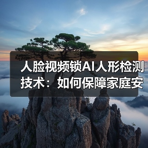 人脸视频锁AI人形检测技术:如何保障家庭安全?(图2) 人脸视频锁AI人形检测技术:如何保障家庭安全?(图2)