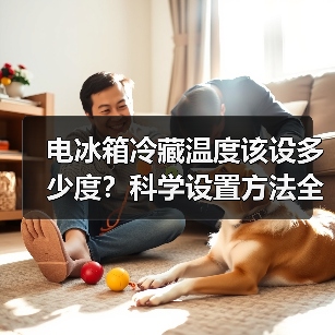 电冰箱冷藏温度该设多少度？科学设置方法全