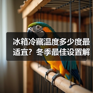 冰箱冷藏温度多少度最适宜？冬季最佳设置解析(图1)
