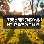 冬天冰箱温度怎么调才对?正确方法全解析(图4) 冬天冰箱温度怎么调才对?正确方法全解析(图4)