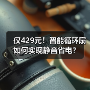 仅429元！智能循环扇如何实现静音省电？(图4)