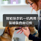 智能晾衣机一机两用 明装暗装自由切换(图1) 智能晾衣机一机两用 明装暗装自由切换(图1)