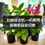 智能晾衣机一机两用 明装暗装自由切换(图2) 智能晾衣机一机两用 明装暗装自由切换(图2)