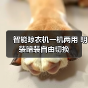 智能晾衣机一机两用 明装暗装自由切换(图4) 智能晾衣机一机两用 明装暗装自由切换(图4)