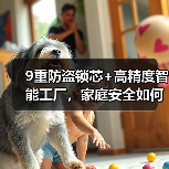 9重防盗锁芯+高精度智能工厂,家庭安全如何保障?(图2) 9重防盗锁芯+高精度智能工厂,家庭安全如何保障?(图2)