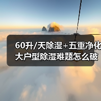 60升/天除湿+五重净化 大户型除湿难题怎么破?(图2) 60升/天除湿+五重净化 大户型除湿难题怎么破?(图2)