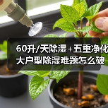 60升/天除湿+五重净化 大户型除湿难题怎么破?(图1) 60升/天除湿+五重净化 大户型除湿难题怎么破?(图1)