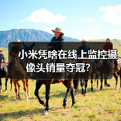 小米凭啥在线上监控摄像头销量夺冠?(图2) 小米凭啥在线上监控摄像头销量夺冠?(图2)