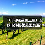 TCL电视逆袭三星！全球市场份额差距缩至1%(图3)