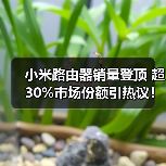 小米路由器销量登顶 超30%市场份额引热