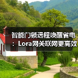 智能门锁远程唤醒省电：Lora网关联网更高效(图2)