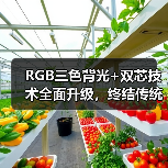 RGB三色背光+双芯技术全面升级，终结传统Mini LED时代(图1)