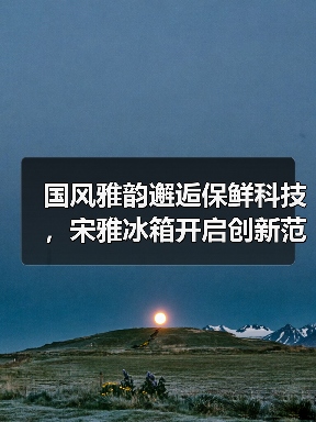 国风雅韵邂逅保鲜科技，宋雅冰箱开启创新范式(图2)