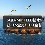 SQD-Mini LED技术斩获CES金奖!TCL创新引领电视画质突破(图2) SQD-Mini LED技术斩获CES金奖!TCL创新引领电视画质突破(图2)