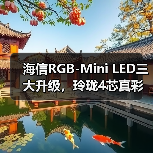海信RGB-Mini LED三大升级,玲珑4芯真彩背光如何重塑画面(图3) 海信RGB-Mini LED三大升级,玲珑4芯真彩背光如何重塑画面(图3)