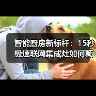 智能厨房新标杆：15秒极速联网集成灶如何颠覆烹饪体验？(图2)