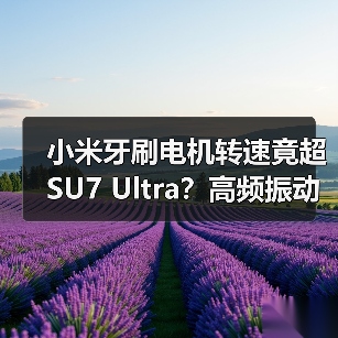 小米牙刷电机转速竟超SU7 Ultra?高频振动原理揭秘(图2) 小米牙刷电机转速竟超SU7 Ultra?高频振动原理揭秘(图2)