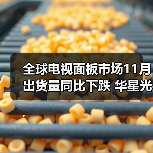 全球电视面板市场11月出货量同比下跌 华星光电逆势大涨(图4) 全球电视面板市场11月出货量同比下跌 华星光电逆势大涨(图4)