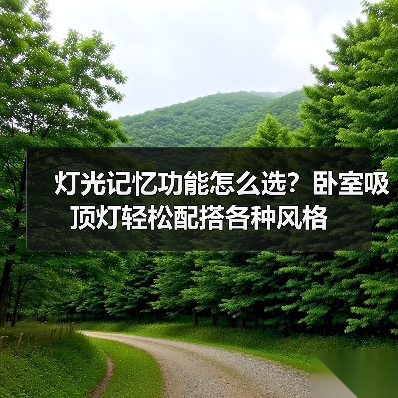 灯光记忆功能怎么选？卧室吸顶灯轻松配搭各种风格(图3)