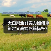 大白梨全能实力如何重新定义高端冰箱标杆?(图3) 大白梨全能实力如何重新定义高端冰箱标杆?(图3)