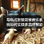 导轨式智能背景音乐系统如何实现多品牌智能联动?(图3) 导轨式智能背景音乐系统如何实现多品牌智能联动?(图3)