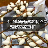 4+N场景模式如何点亮理想家居空间?(图2) 4+N场景模式如何点亮理想家居空间?(图2)