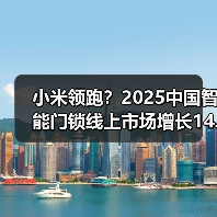 小米领跑？2025中国智能门锁线上市场增长14.8%(图3)