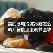 美的冰箱冷冻冷藏怎么调？智能温度调节全攻略(图4)