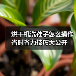 烘干机洗鞋子怎么操作 省时省力技巧大公开(图2)