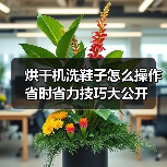 烘干机洗鞋子怎么操作 省时省力技巧大公开(图3)