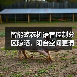 智能晾衣机语音控制分区晾晒,阳台空间更清爽(图4) 智能晾衣机语音控制分区晾晒,阳台空间更清爽(图4)