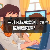 三叶风标式监测，精准控制遮阳篷？(图3)