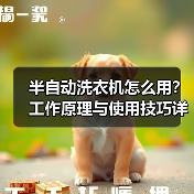 半自动洗衣机怎么用?工作原理与使用技巧详解(图4) 半自动洗衣机怎么用?工作原理与使用技巧详解(图4)