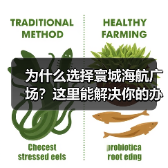 为什么选择寰城海航广场?这里能解决你的办公难题(图4) 为什么选择寰城海航广场?这里能解决你的办公难题(图4)