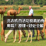 洗衣机自洁功能真的有用吗？原理+好处全解析(图2)