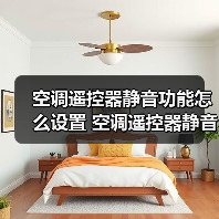 空调遥控器静音功能怎么设置 空调遥控器静音功能设置方法【详解】(图4) 空调遥控器静音功能怎么设置 空调遥控器静音功能设置方法【详解】(图4)