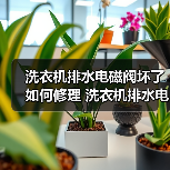 洗衣机排水电磁阀坏了如何修理 洗衣机排水电磁阀坏了修理方法【详解】(图2) 洗衣机排水电磁阀坏了如何修理 洗衣机排水电磁阀坏了修理方法【详解】(图2)
