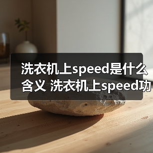 洗衣机上speed是什么含义 洗衣机上speed功能介绍【详解】 - 辰飞雨易拓智能家居网