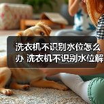 洗衣机不识别水位怎么办 洗衣机不识别水位解决方法【详解】 - 辰飞雨易拓智能家居网