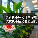 洗衣机不启动什么问题 洗衣机不启动的原因及解决方法【详解】 - 辰飞雨易拓智能家居网