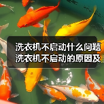 洗衣机不启动什么问题 洗衣机不启动的原因及解决方法【详解】(图3) 洗衣机不启动什么问题 洗衣机不启动的原因及解决方法【详解】(图3)